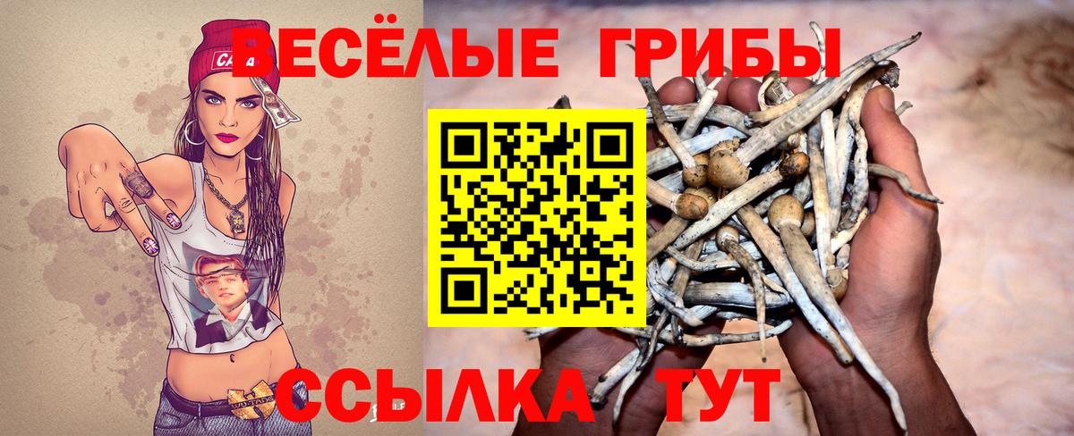 Урус-Мартан  Псилоцибиновые грибы мицелий  цена   Вход с VPN 