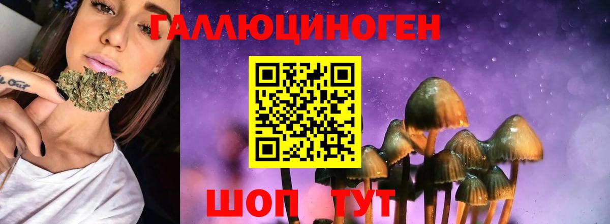 Галлюциногенные грибы мухоморы Урус-Мартан